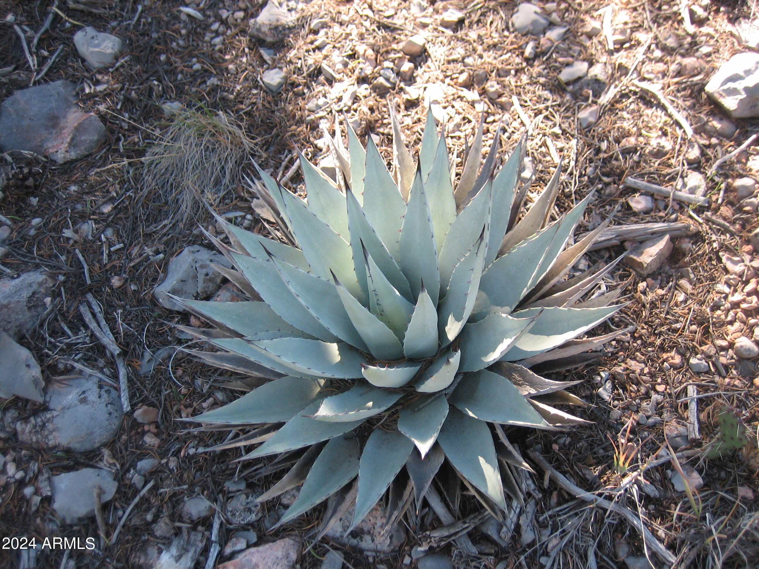 SIERRA VERDE RANCH UNIT 35 - Land