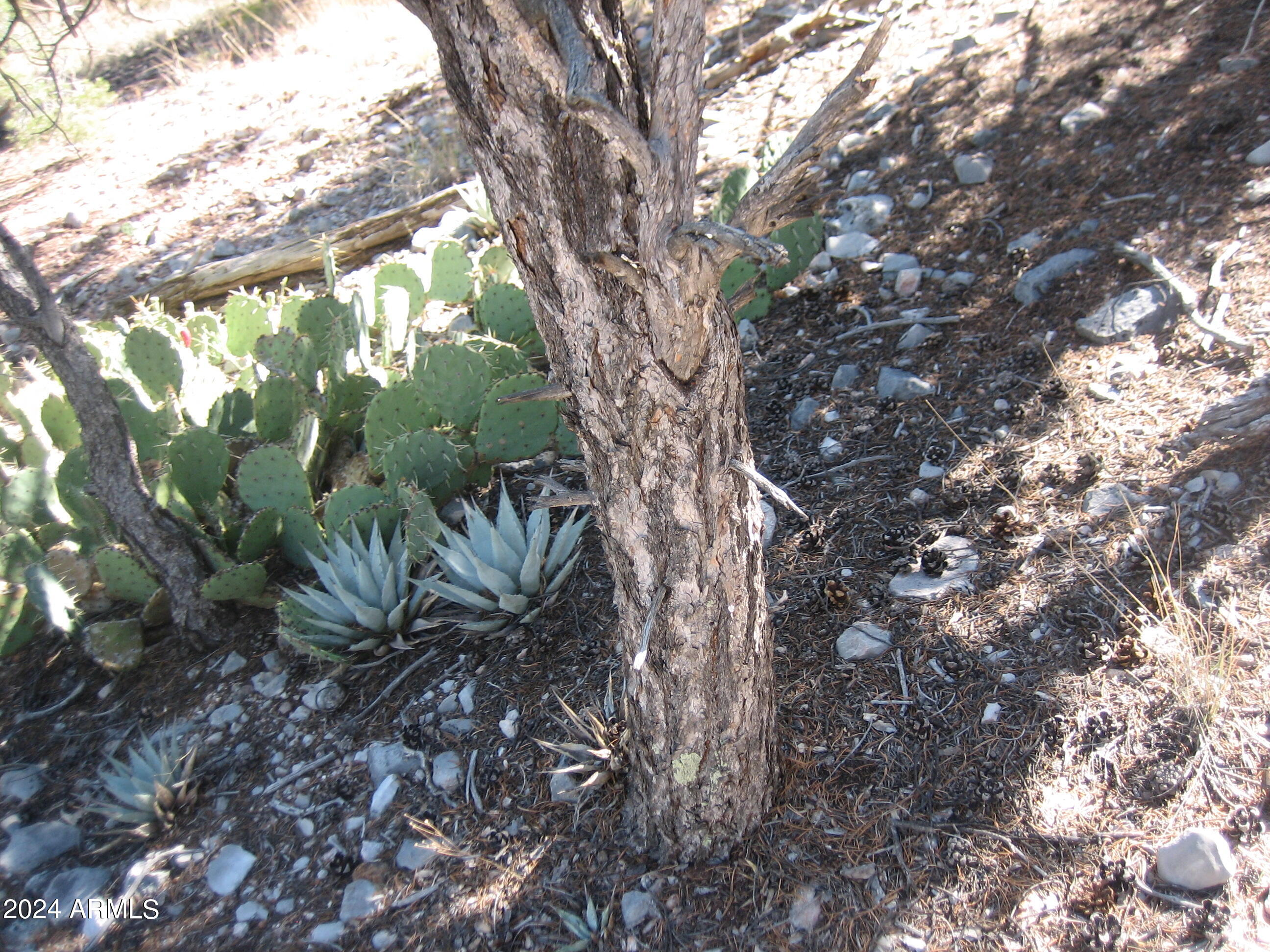 SIERRA VERDE RANCH UNIT 35 - Land