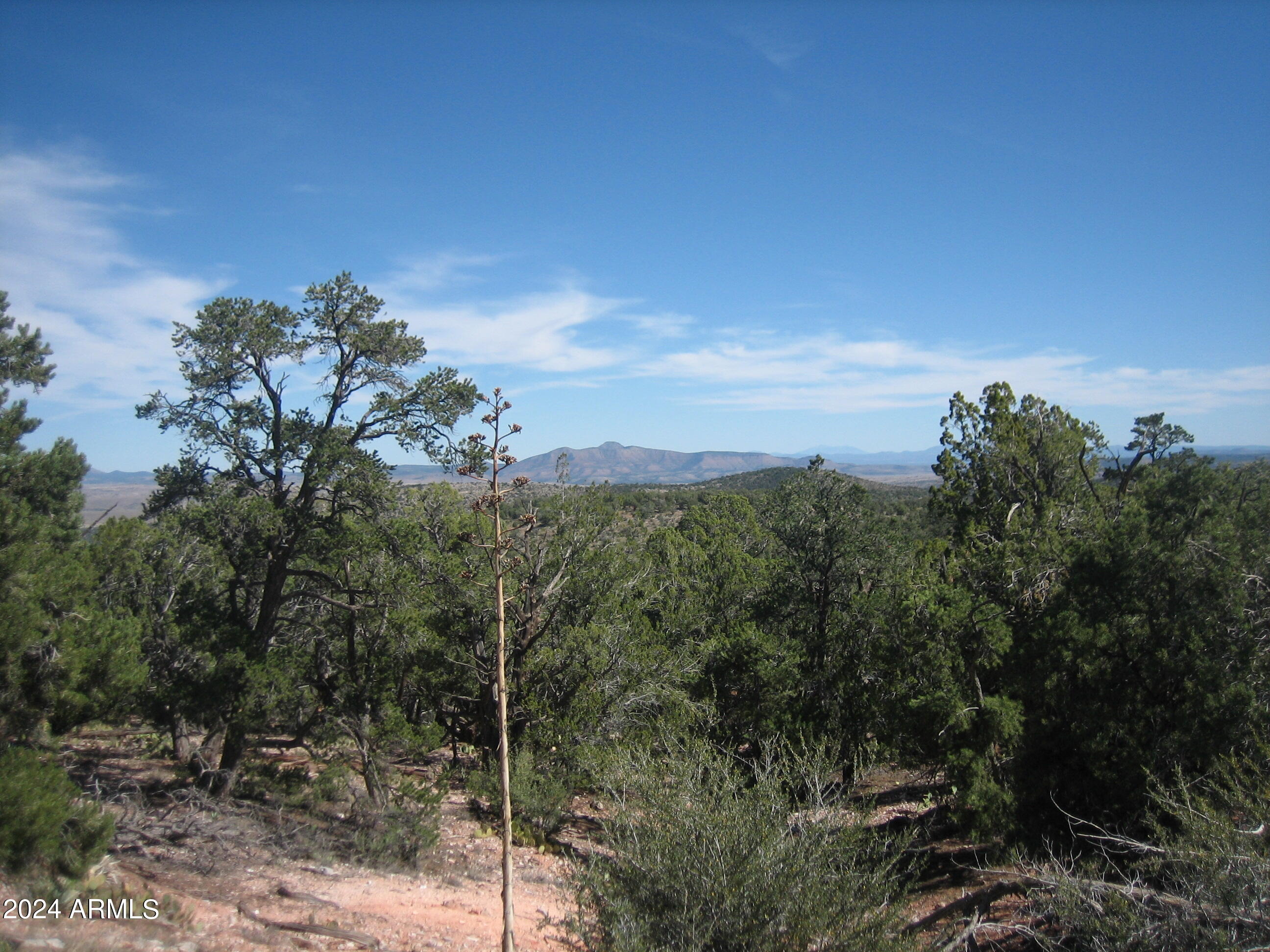 SIERRA VERDE RANCH UNIT 35 - Land