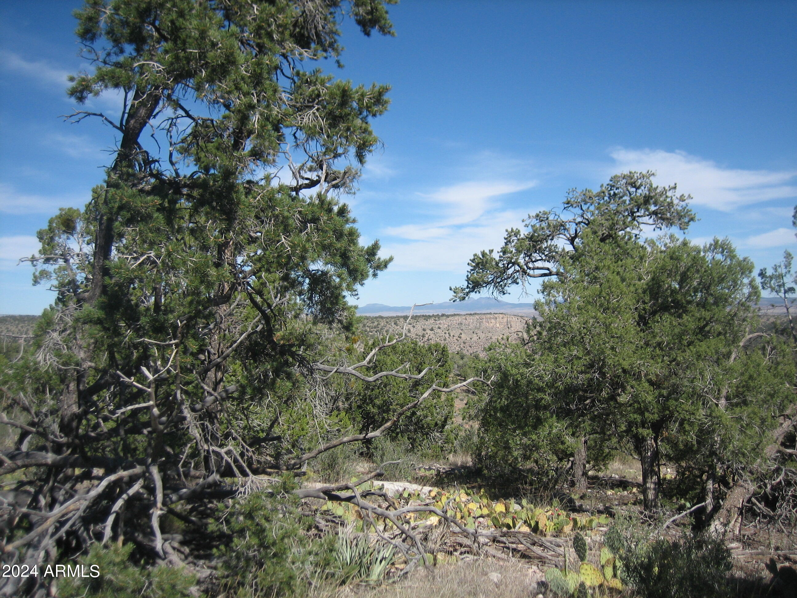 SIERRA VERDE RANCH UNIT 35 - Land