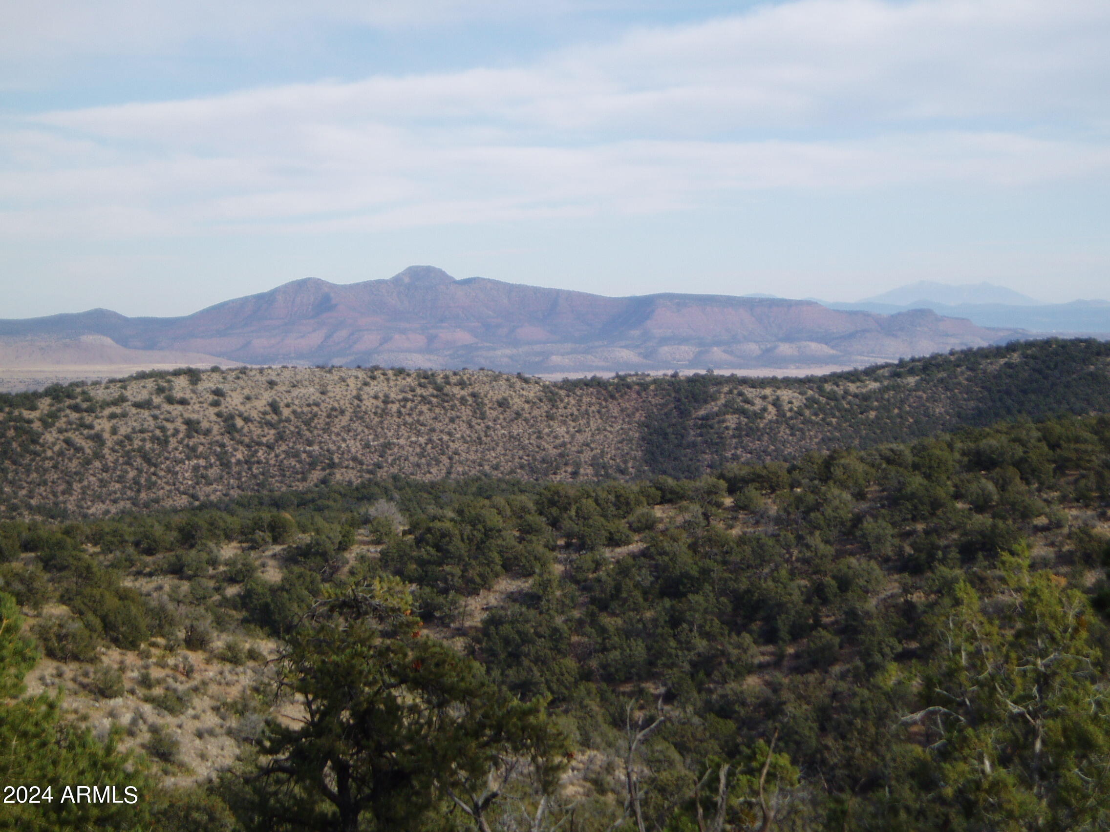 SIERRA VERDE RANCH UNIT 35 - Land