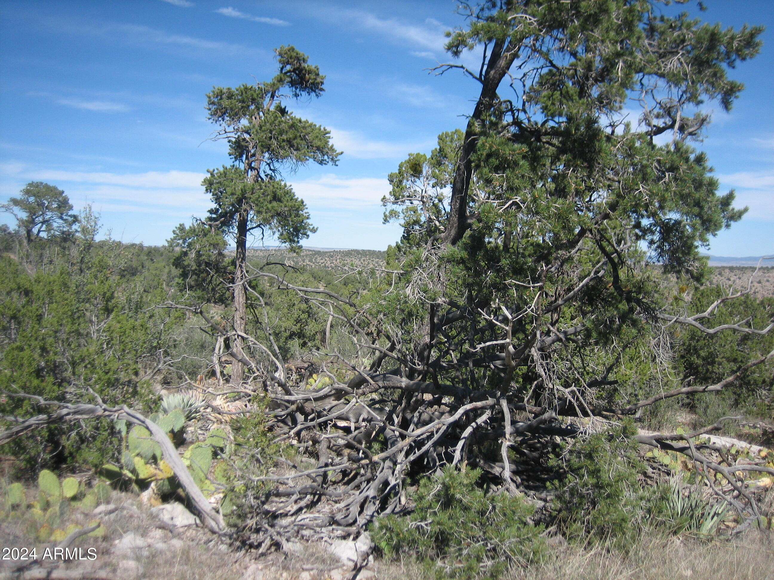 SIERRA VERDE RANCH UNIT 35 - Land