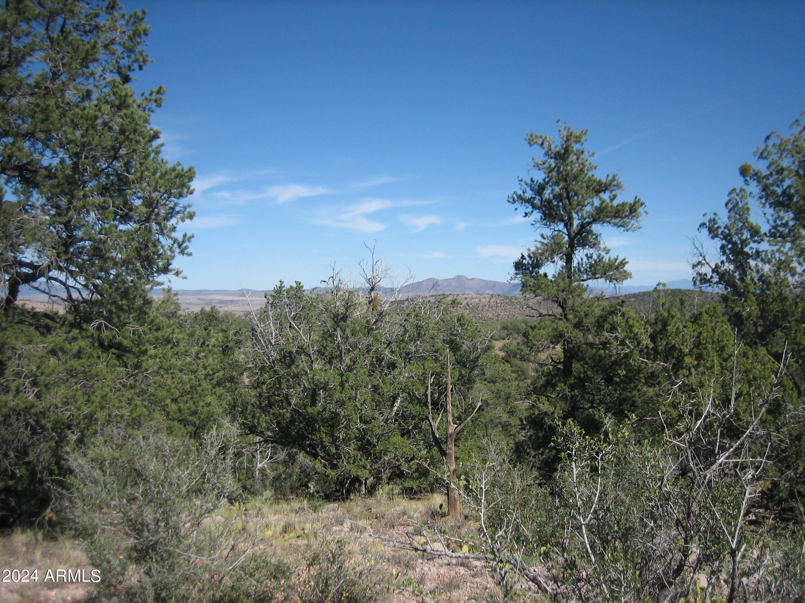 SIERRA VERDE RANCH UNIT 35 - Land