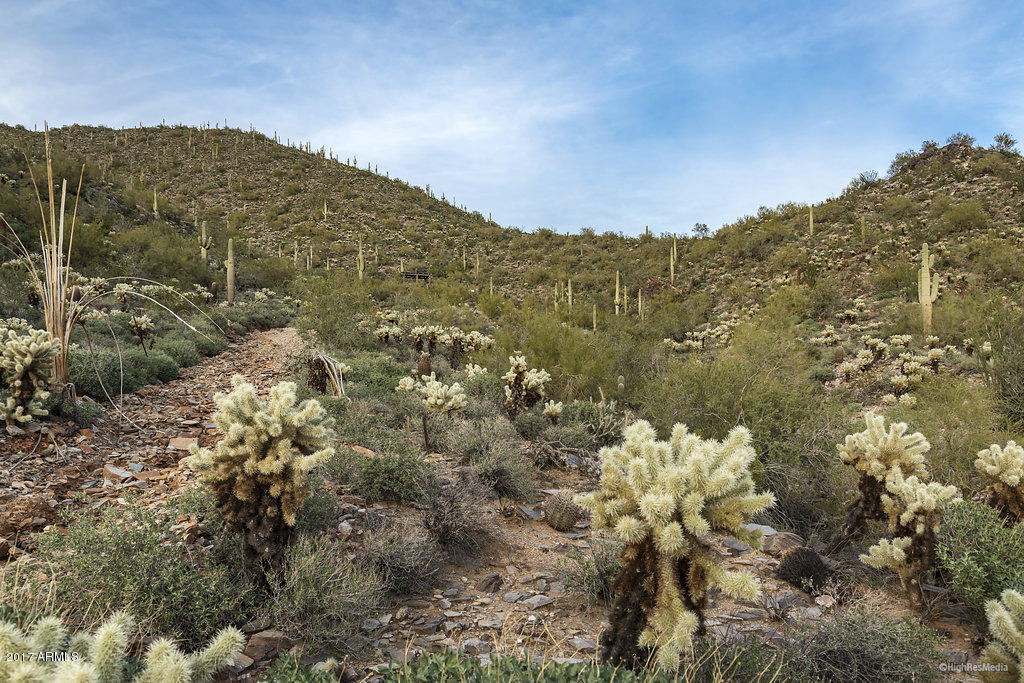 Silverleaf at DC Ranch - Land