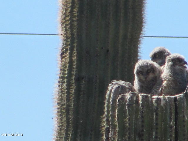 Metes & Bounds (112.63 Acres)
Maricopa County Assessor #'s 
505-04-002 & 008D - Residential