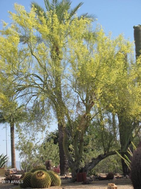 Metes & Bounds (112.63 Acres)
Maricopa County Assessor #'s 
505-04-002 & 008D - Residential