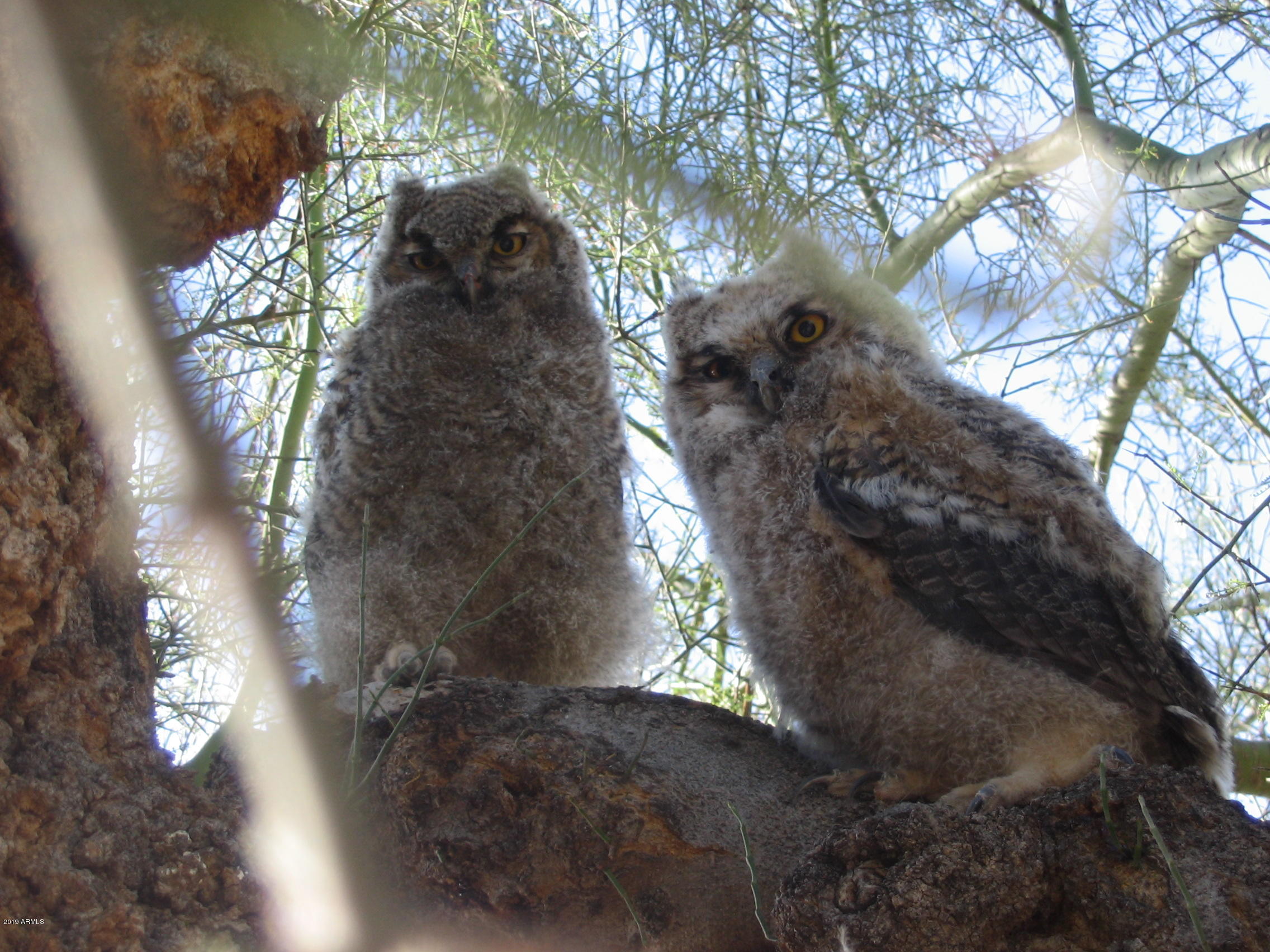 Metes & Bounds (112.63 Acres)
Maricopa County Assessor #'s 
505-04-002 & 008D - Residential