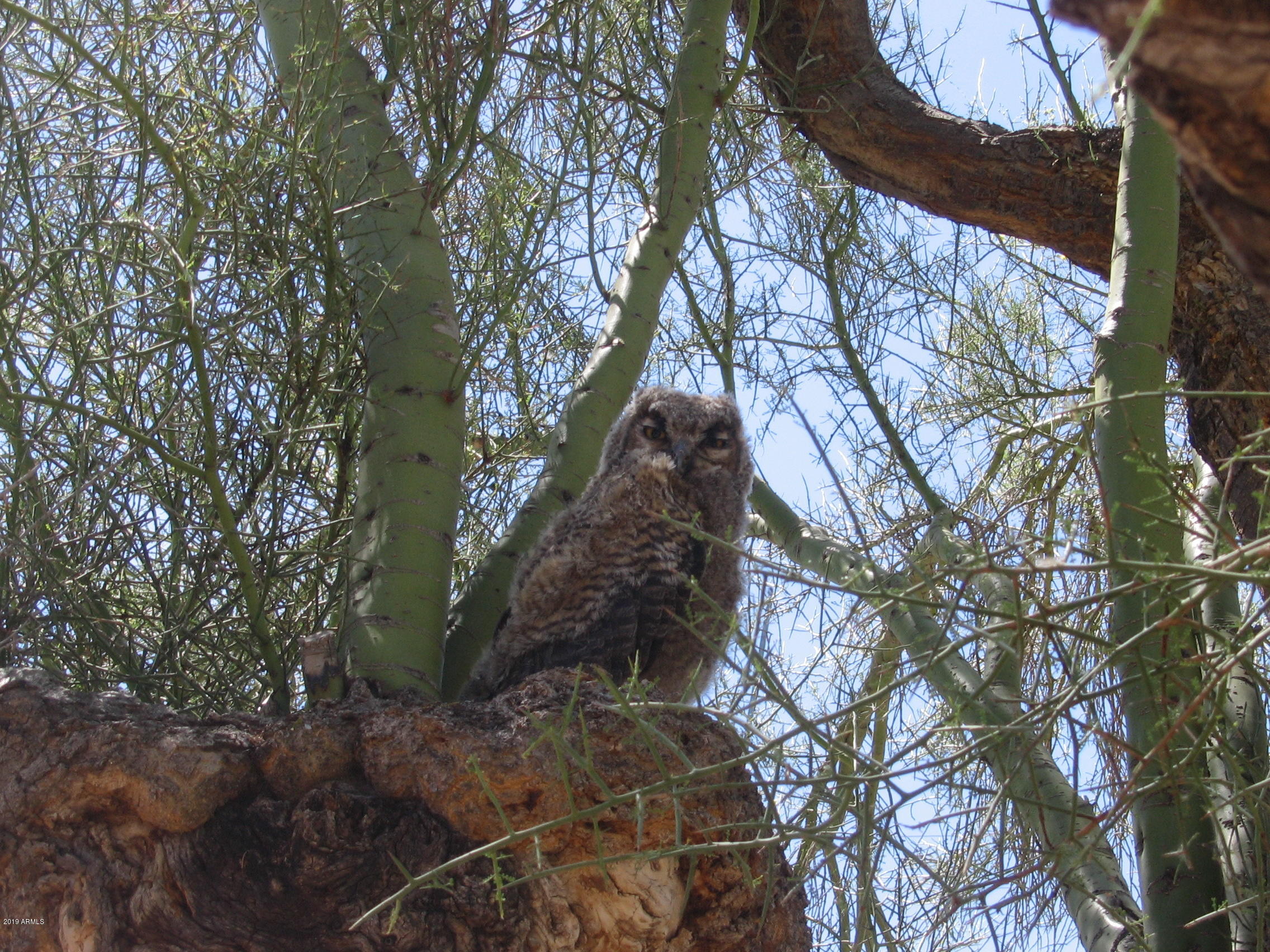 Metes & Bounds (112.63 Acres)
Maricopa County Assessor #'s 
505-04-002 & 008D - Residential