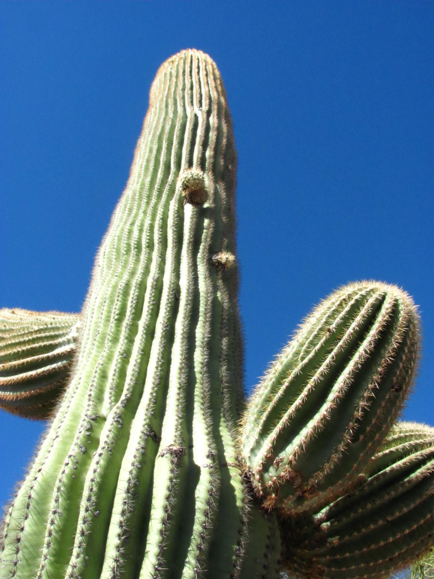 Metes & Bounds (112.63 Acres)
Maricopa County Assessor #'s 
505-04-002 & 008D - Residential