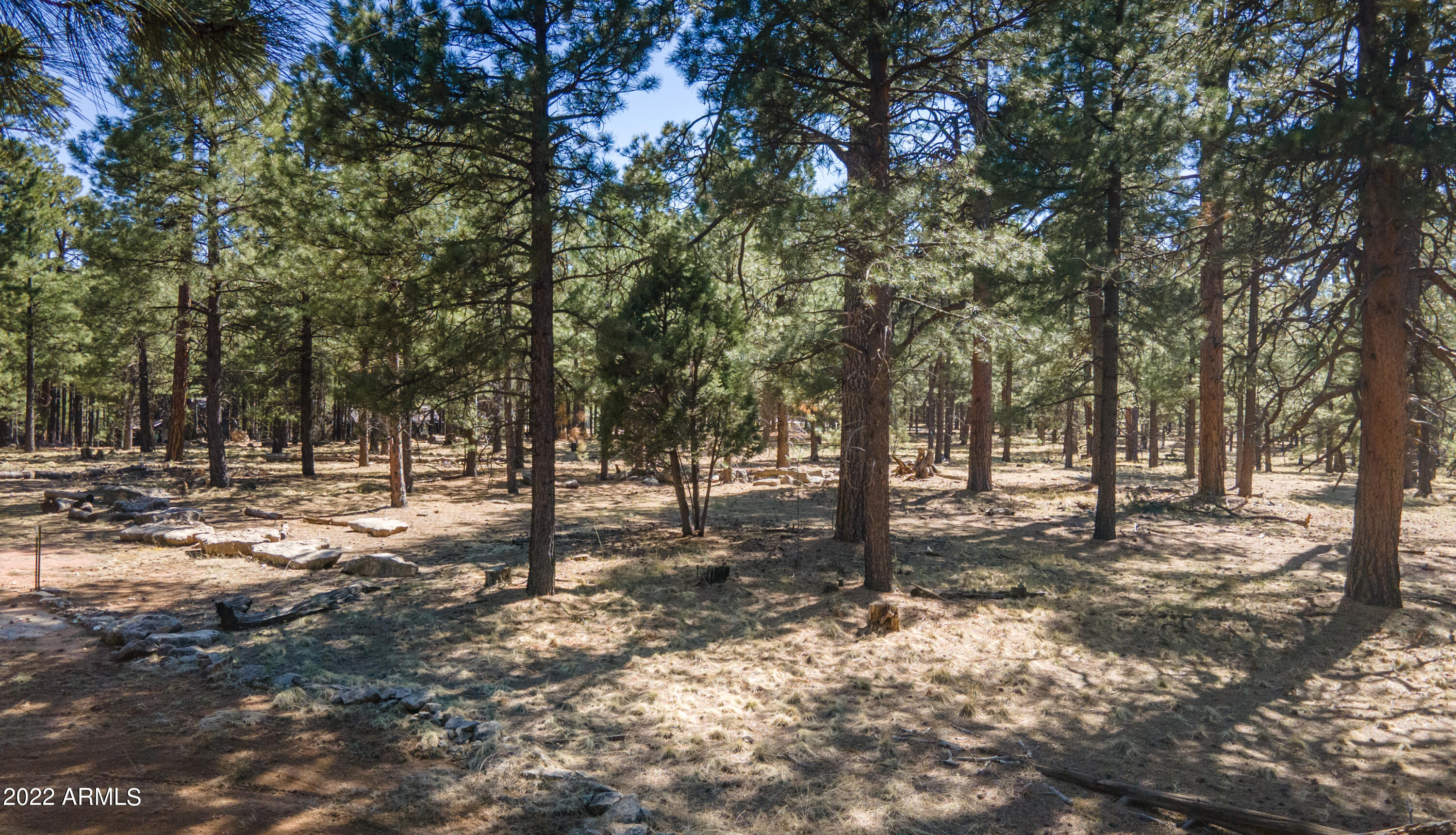 Forest Lakes Estates - Residential