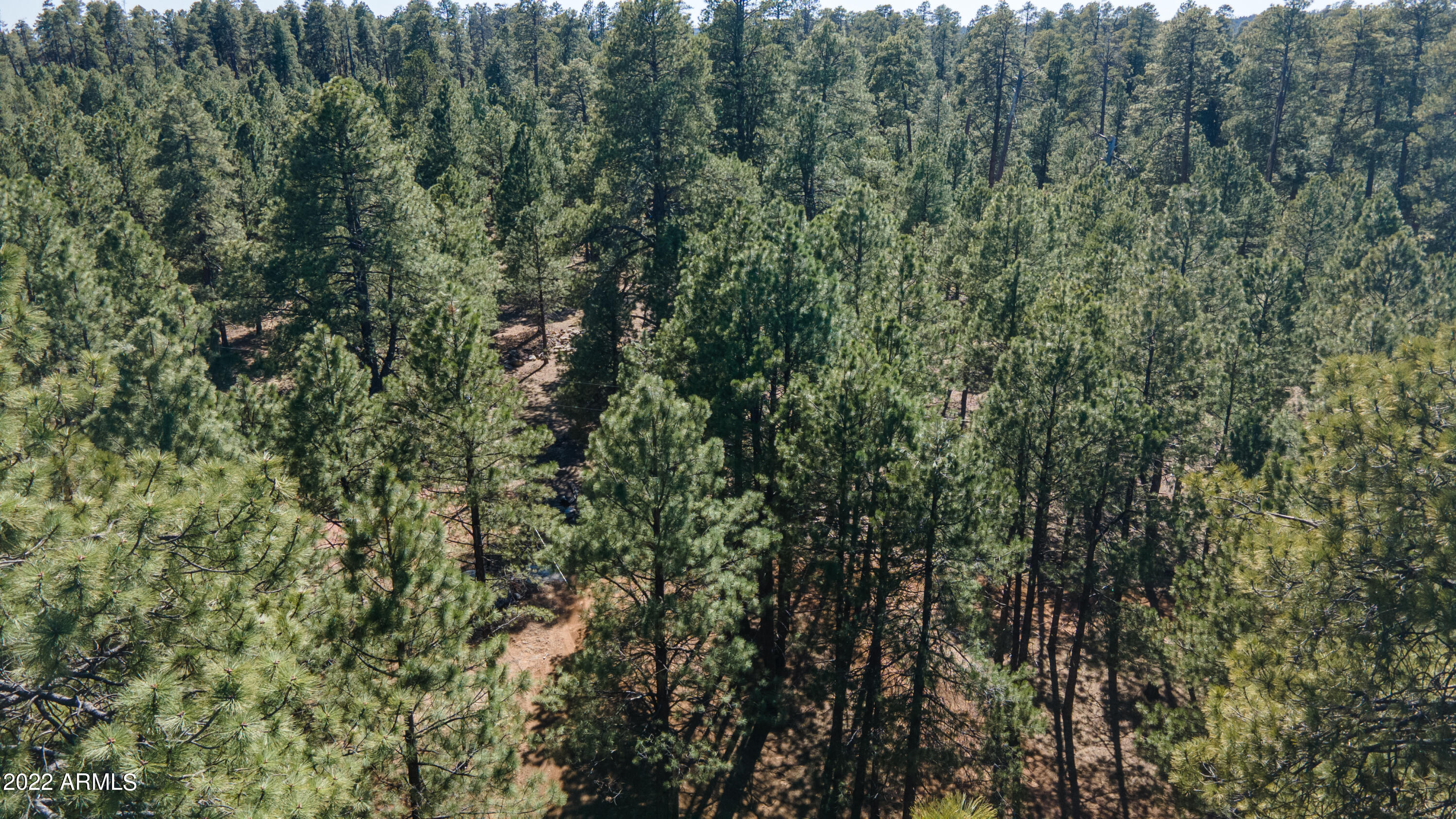 Forest Lakes Estates - Residential