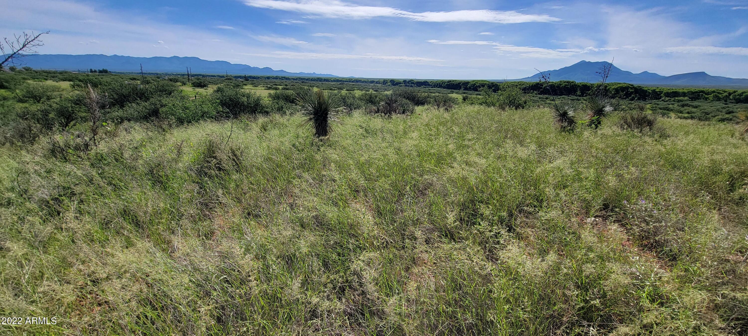 Palominas Ranches - Land