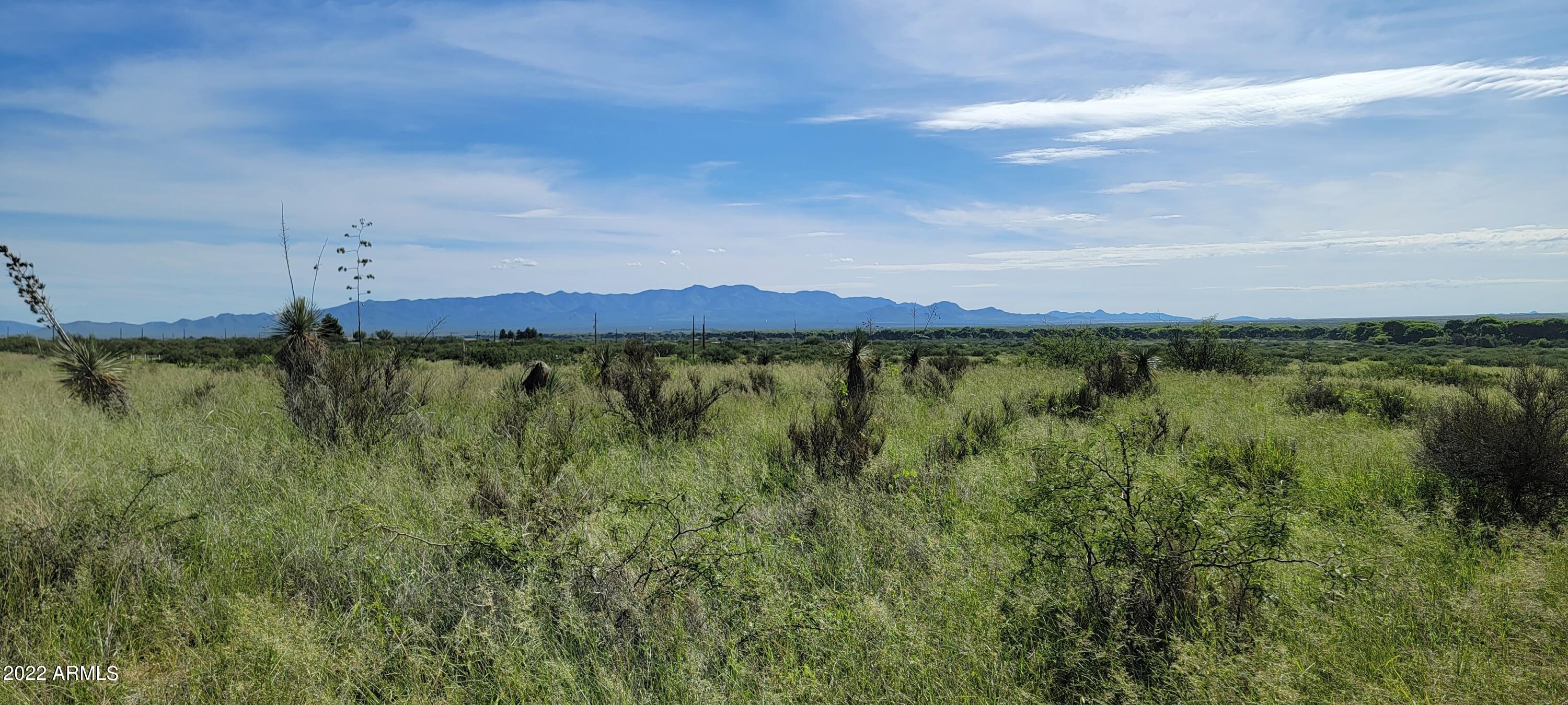 Palominas Ranches - Land