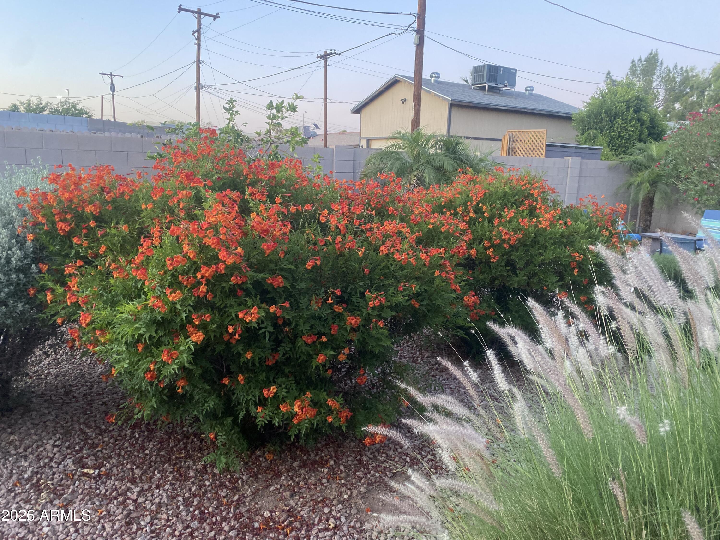 PAPAGO PARKWAY 6 - Residential