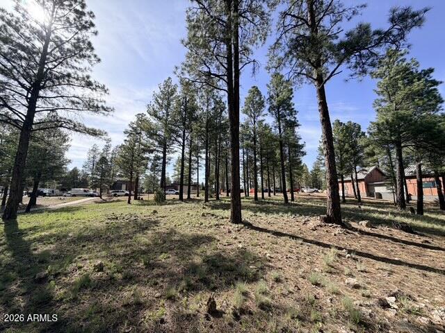 PINE CANYON - Land