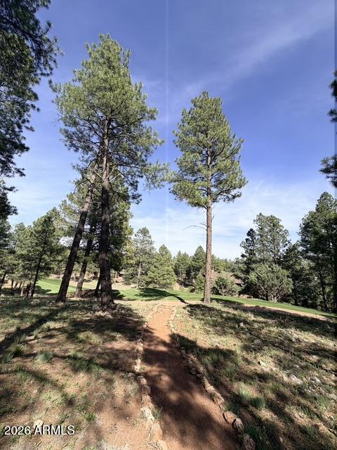 PINE CANYON - Land