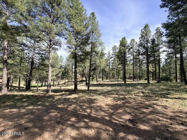 PINE CANYON - Land