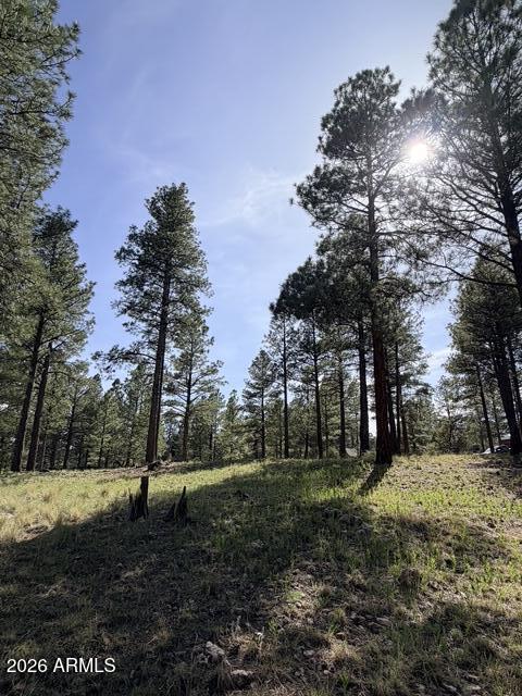PINE CANYON - Land