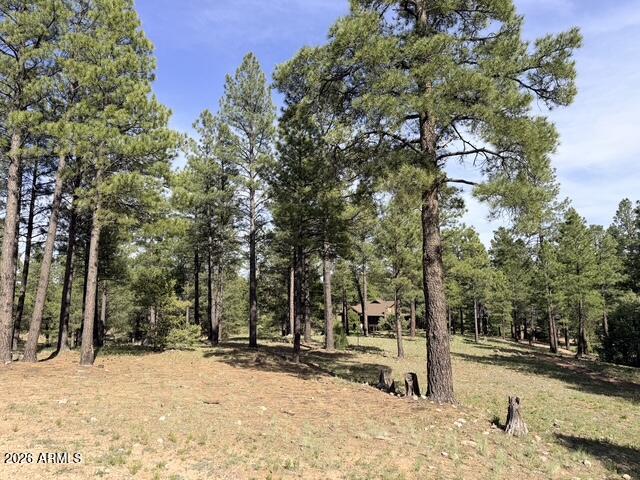 PINE CANYON - Land