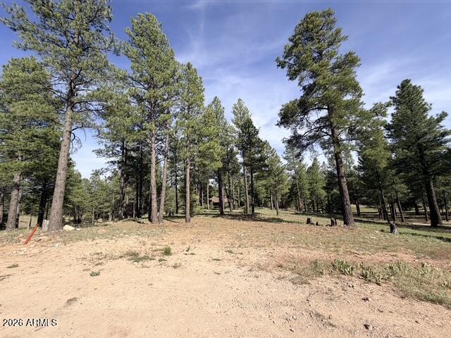 PINE CANYON - Land