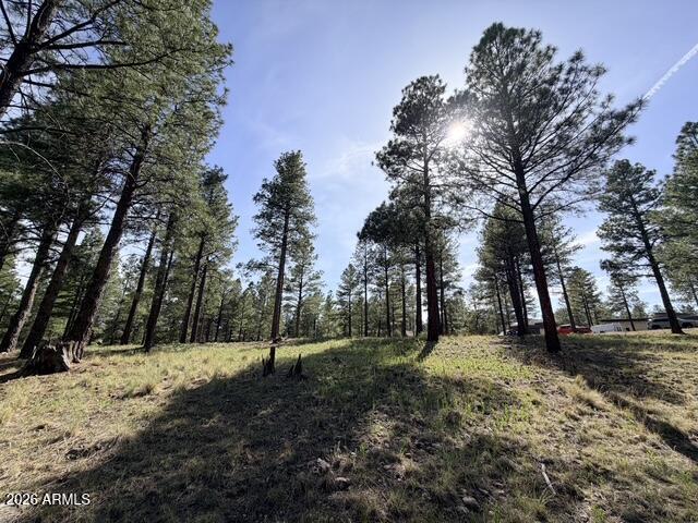 PINE CANYON - Land