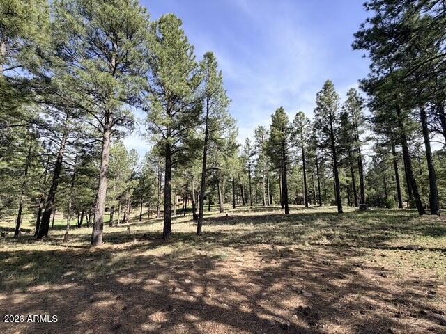 PINE CANYON - Land