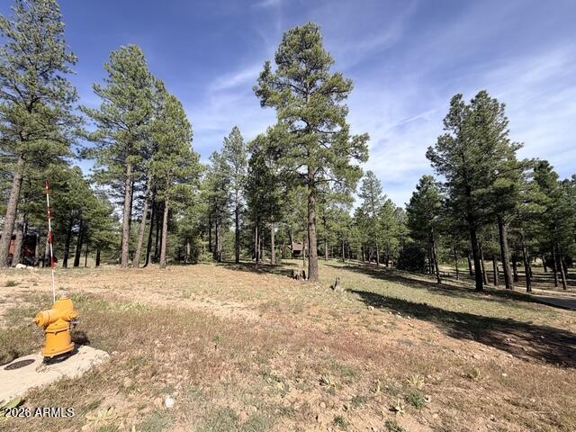 PINE CANYON - Land