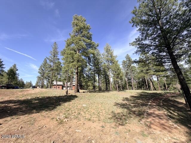 PINE CANYON - Land