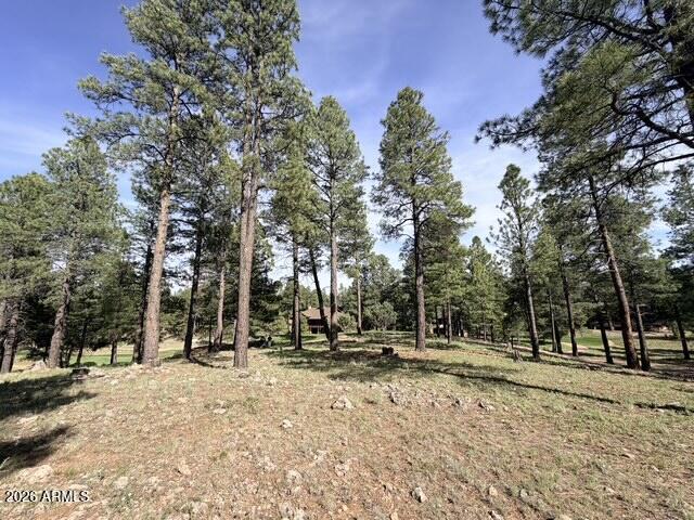 PINE CANYON - Land