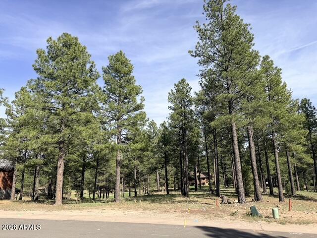 PINE CANYON - Land