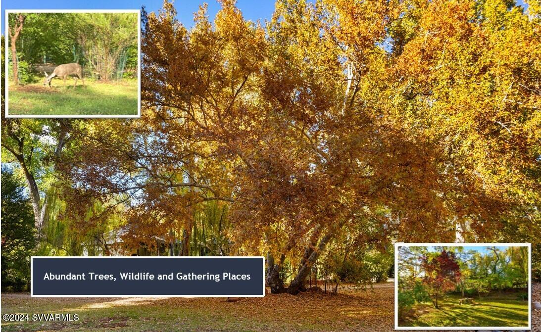 5 Acres or More - Residential