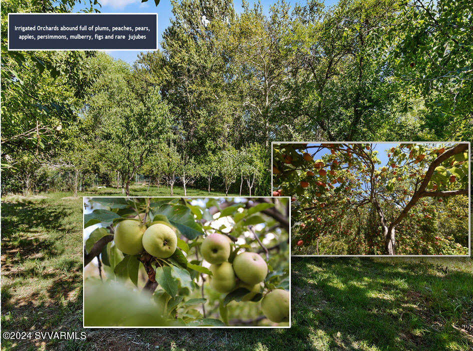 5 Acres or More - Residential