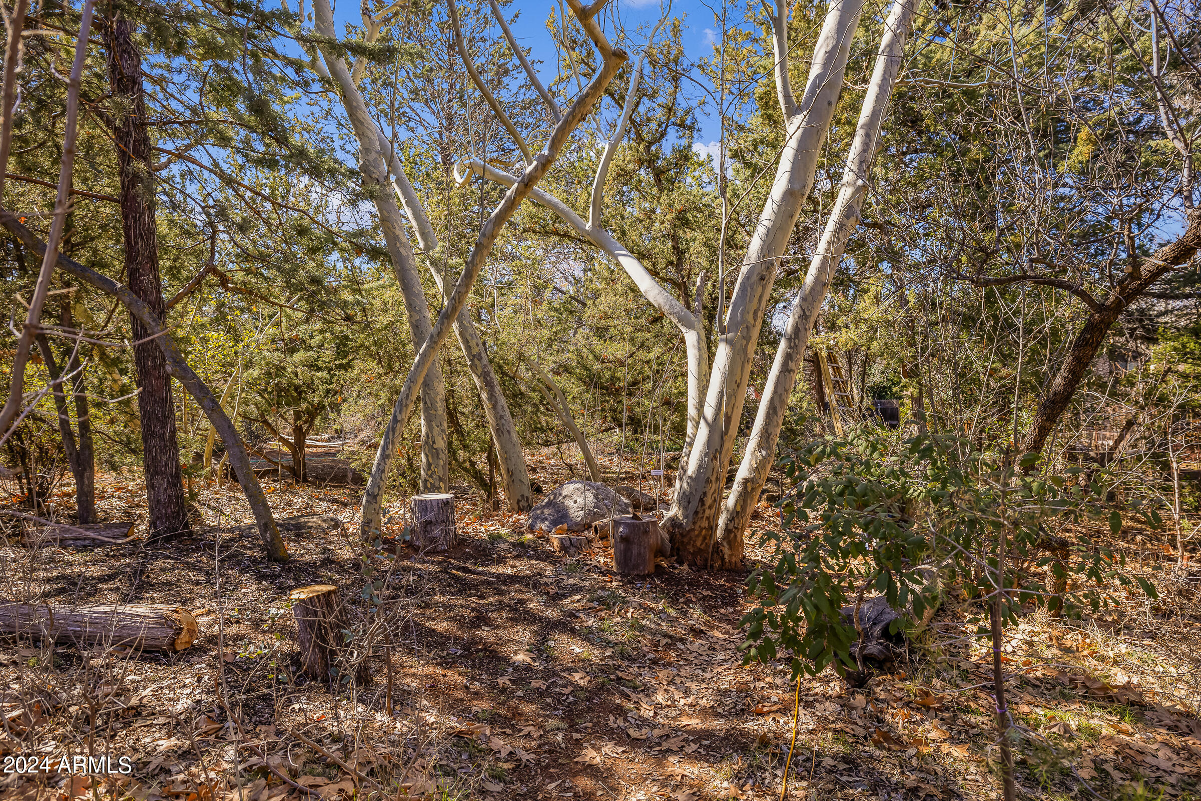 5 Acres or More - Residential