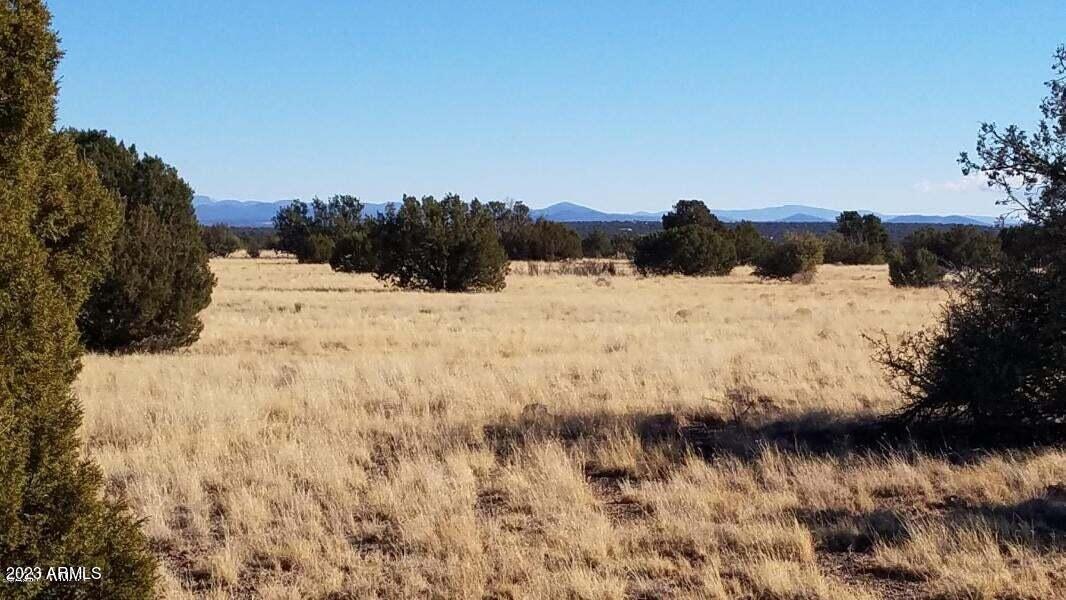 Canyon Vista Estates - Land
