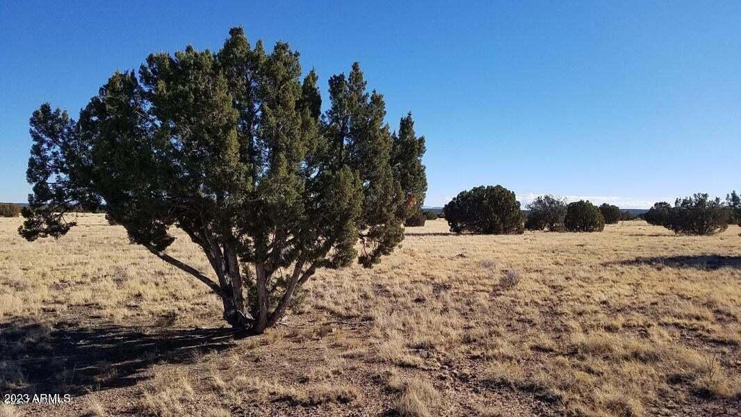 Canyon Vista Estates - Land