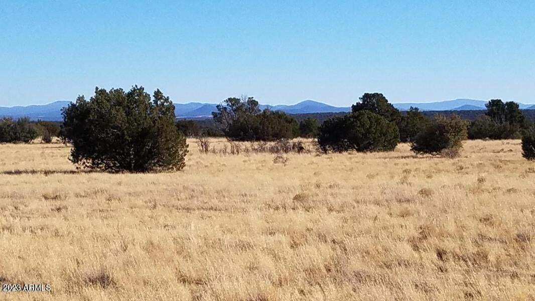 Canyon Vista Estates - Land