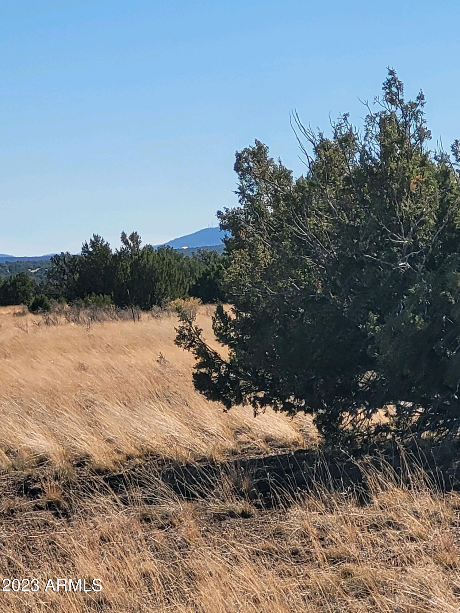 Canyon Vista Estates - Land
