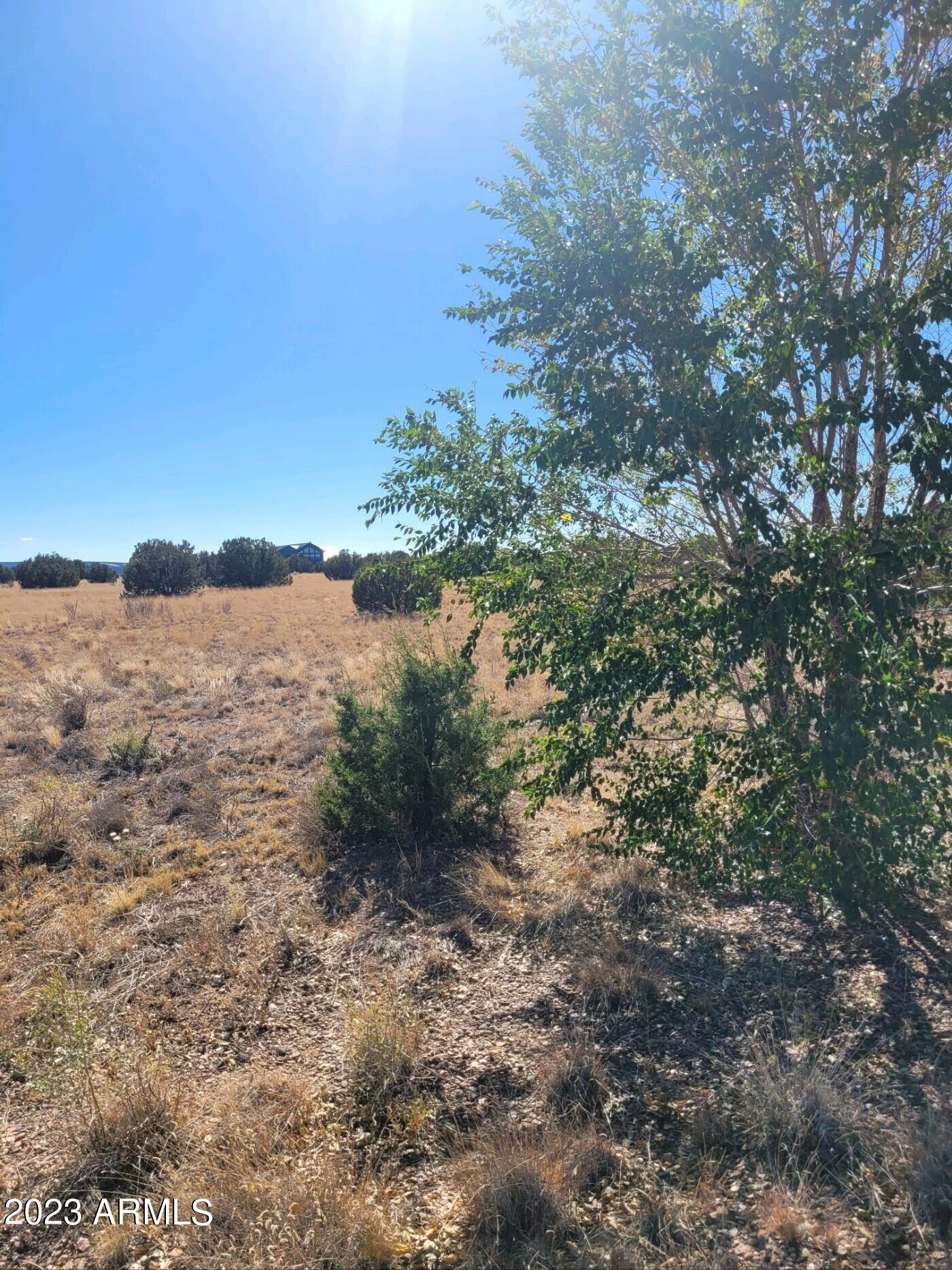 Canyon Vista Estates - Land