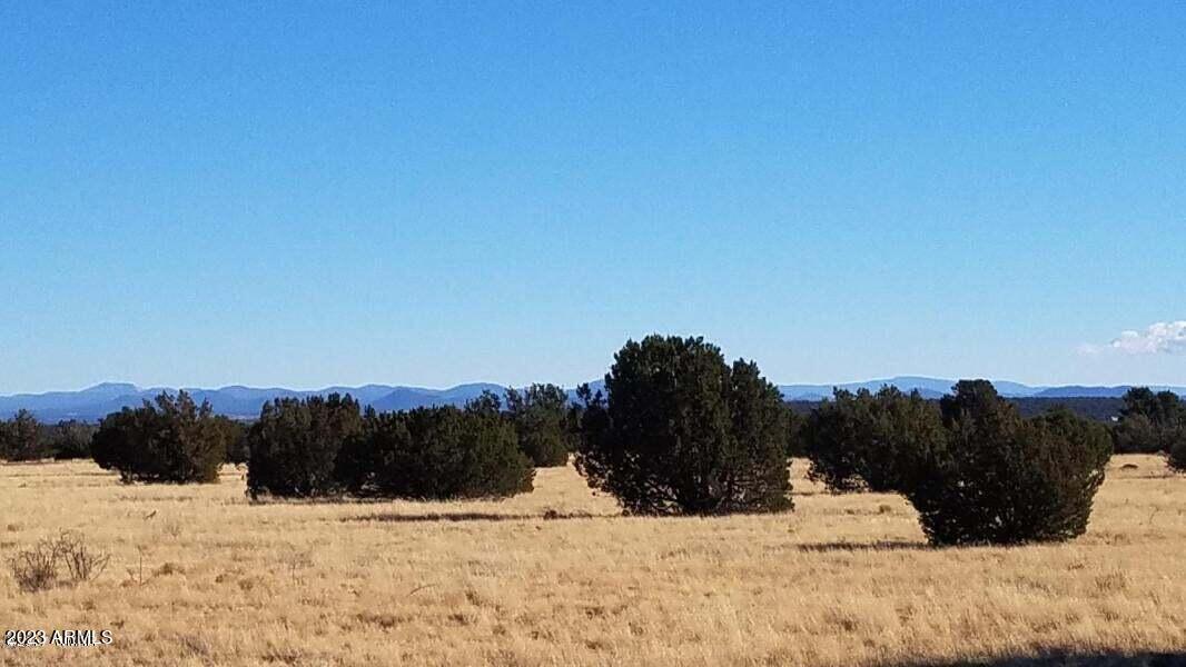 Canyon Vista Estates - Land