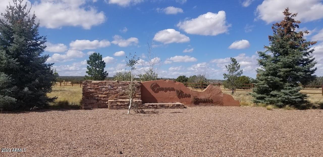 Spacious 2.5 acre residential parcel in Canyon Vista, a premium development on the mesa above beautiful, historic Shumway! Well-located with easy access to either Show Low to the south or Snowflake/Taylor to the north, there are paved roads all the way, along with power, water, and phone available to the lot. This listing is comprised of two parcels - so it's possible to have either one extra-large, 2.5 acre lot, or as two separate 1.25 acre homesites. Perfect location for peace & quiet -- space from neighbors, fresh air, views -- with a beautiful four season display of nature. Lakes, fishing, a deep Ponderosa Pine forest, hiking, camping, & skiing in the crisp air - everything the White Mountains has to offer! - is within comfortable reach. Build now, or hold for investment/retirement.