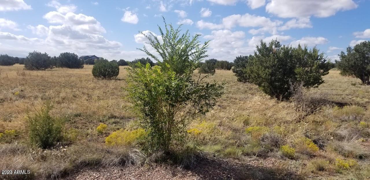Canyon Vista Estates - Land