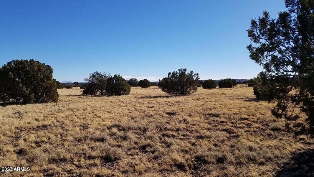 Canyon Vista Estates - Land