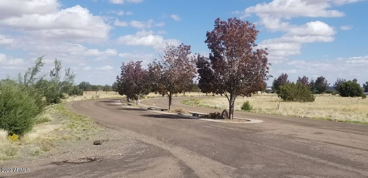 Canyon Vista Estates - Land
