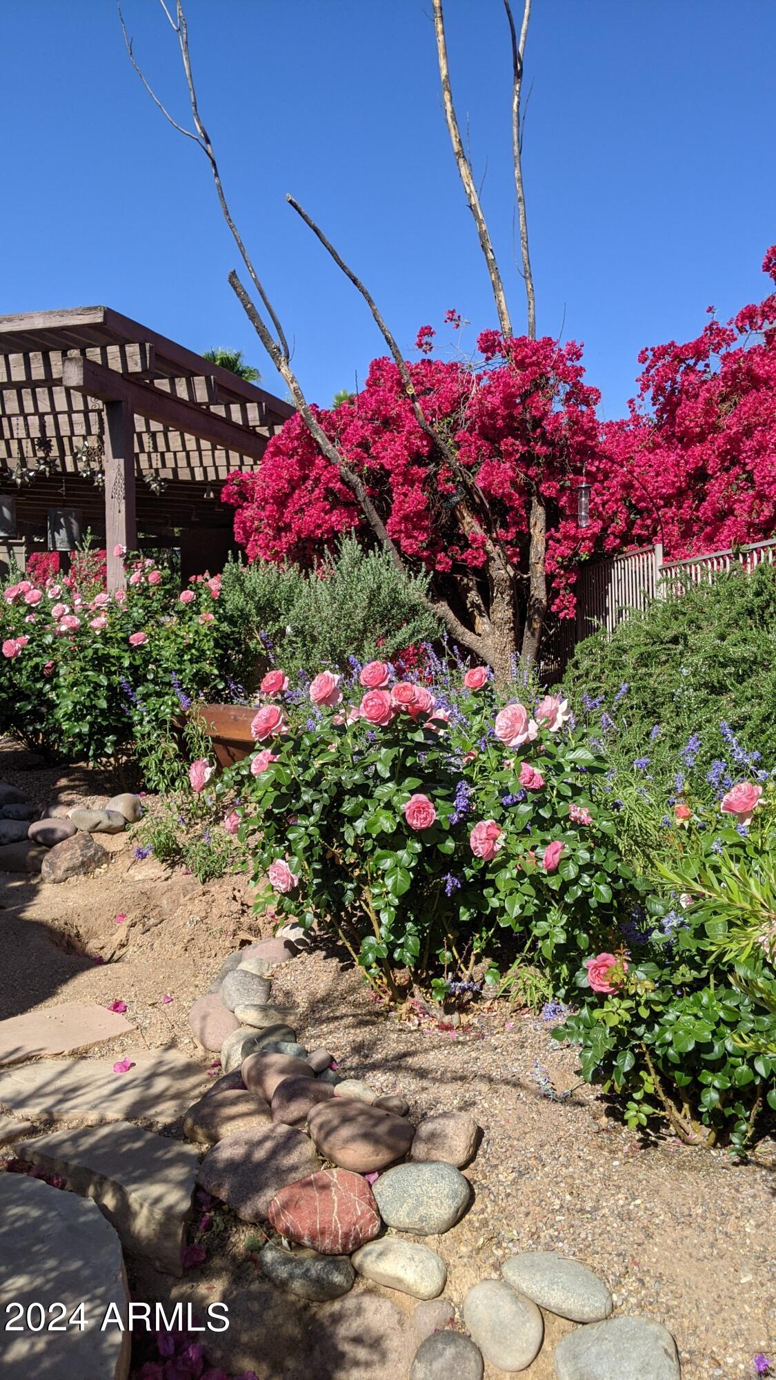 CLEARWATER HILLS - Residential