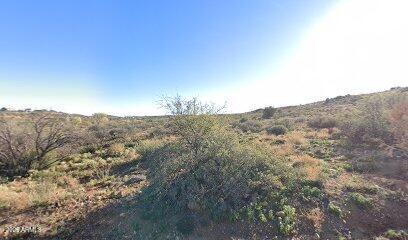 Great .29-acre residential lot in Cordes Lakes with paved road frontage on E Sage Brush Dr. Approx. 100 ft of frontage with easy access to I-17 for commuting to Phoenix, Prescott, or Flagstaff. Excellent opportunity for future development or investment. Seller owns additional nearby lots; ask the listing agent for the full inventory.