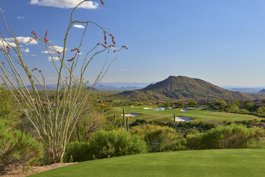 Desert Mountain - Residential
