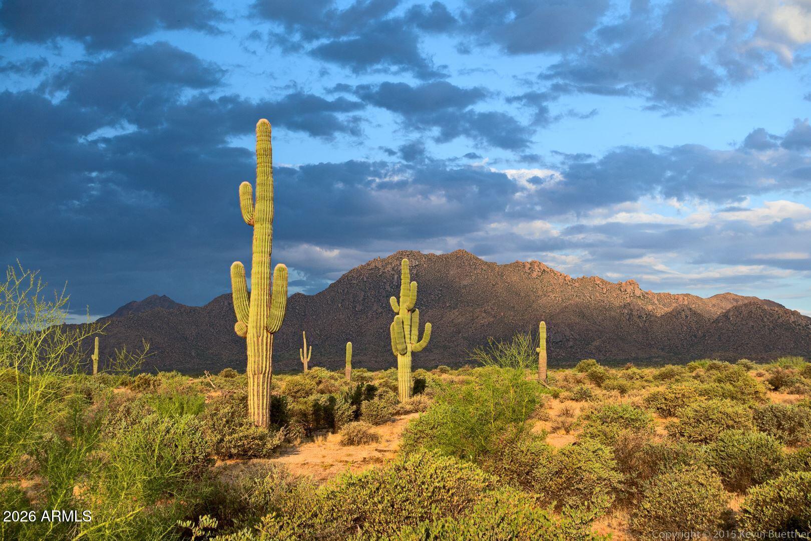 Rio Verde Foothills - Residential