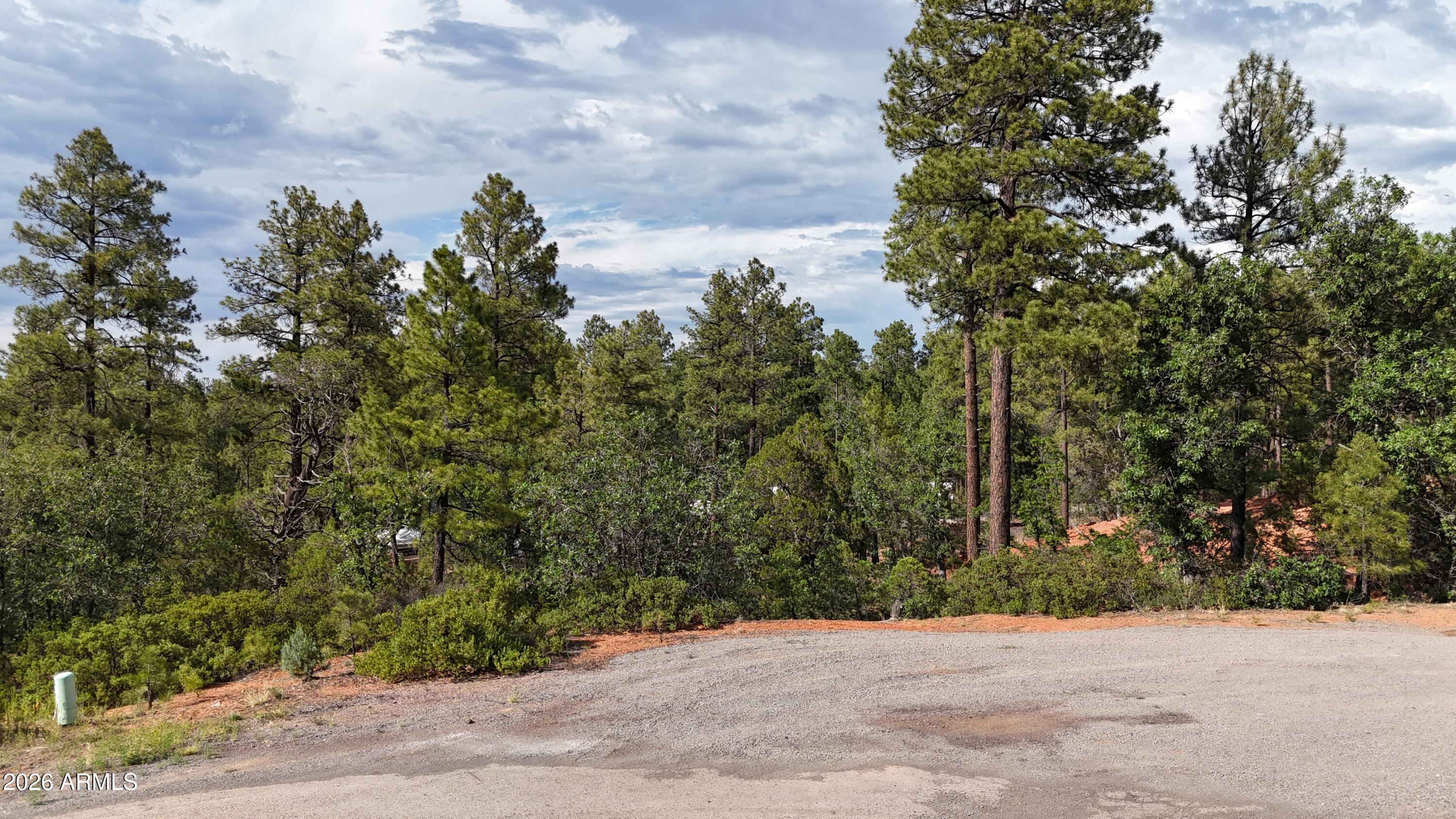 Nestled among towering, mature pine trees, this beautiful approximately 0.58-acre homesite offers the perfect blend of natural beauty and modern convenience. Located in a sought-after neighborhood of quality custom homes, the property provides a peaceful, park-like setting with all essential utilities--including water, power, and sewer--available at the lot, making it an ideal canvas for your dream home. Enjoy the tranquility of mountain living while remaining just moments from the National Forest, where endless opportunities for hiking, biking, wildlife viewing, and year-round outdoor recreation await. The spacious lot offers plenty of room to create a custom retreat while preserving the privacy and charm of its wooded surroundings. Whether you're ready to build your forever home, a vacation getaway, or invest in one of the area's most desirable locations, this exceptional property combines convenience, breathtaking scenery, and outstanding potential. Don't miss the opportunity to own a slice of mountain paradise in a community where nature and quality living come together beautifully