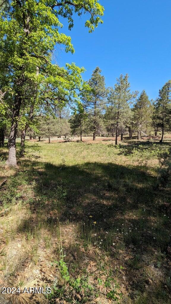 Gordon Canyon - Land