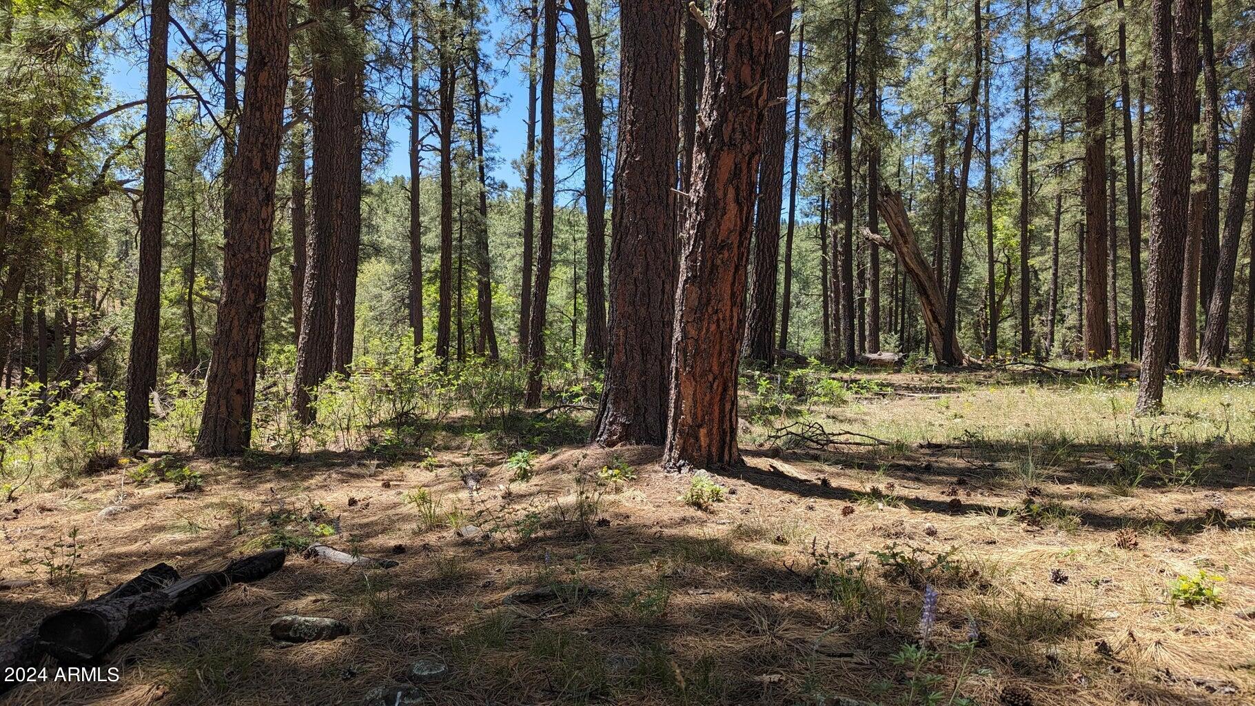 Gordon Canyon - Land